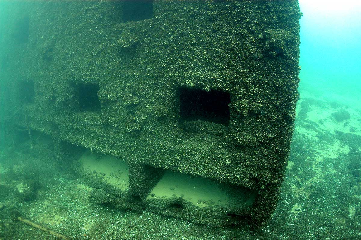 Image from the shipwreck Niagara